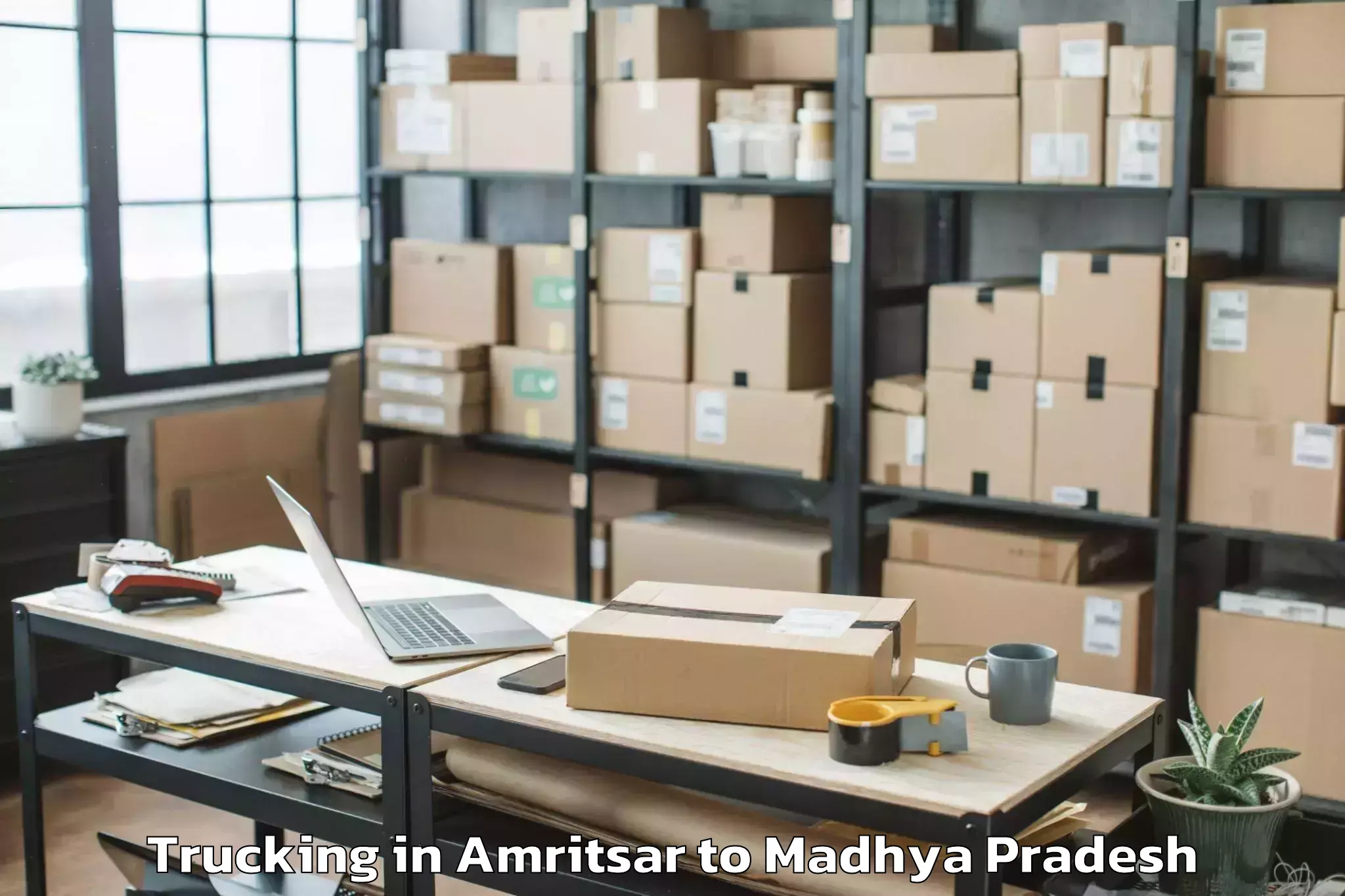 Book Amritsar to Sardarpur Trucking Online